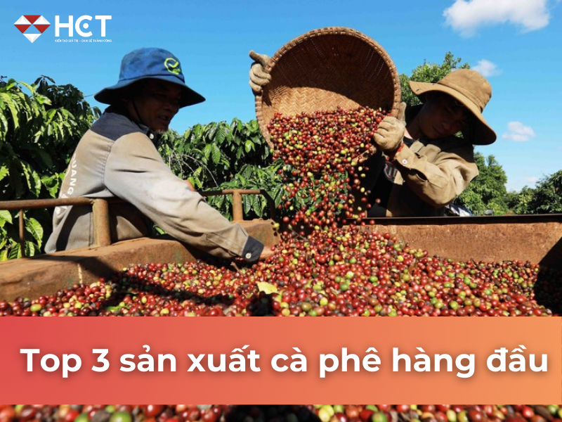 Top 3 sản xuất cà phê Robusta hàng đầu