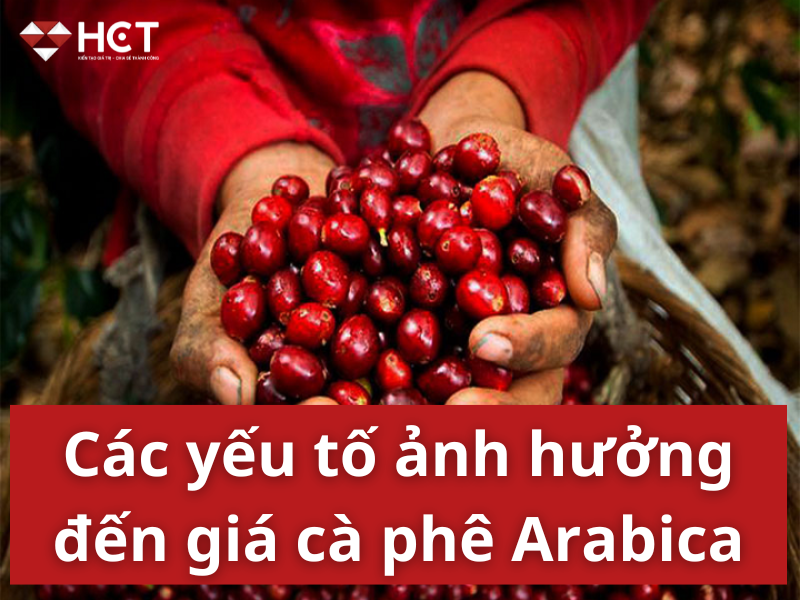 Các yếu tố ảnh hưởng đến giá cà phê Arabica