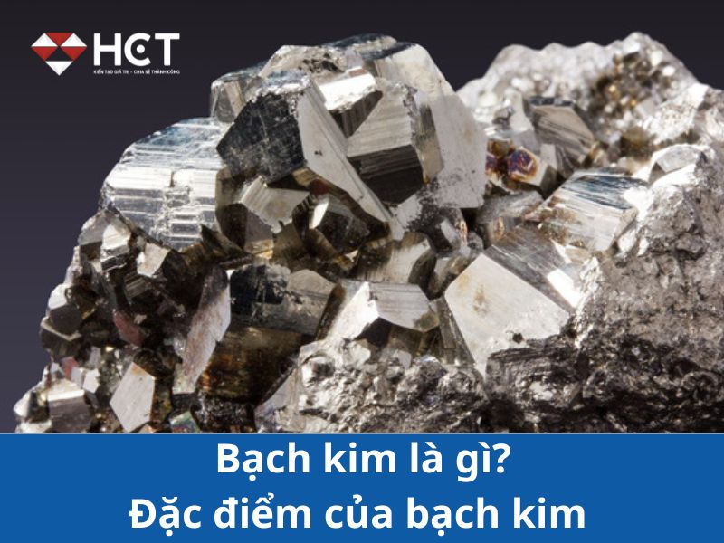 Giới thiệu về bạch kim 