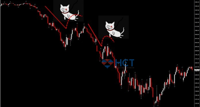 Dead Cat Bounce là gì?