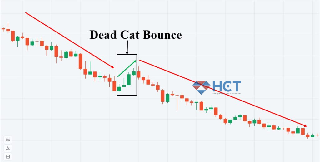 Đặc điểm của hiện tượng Dead Cat Bounce