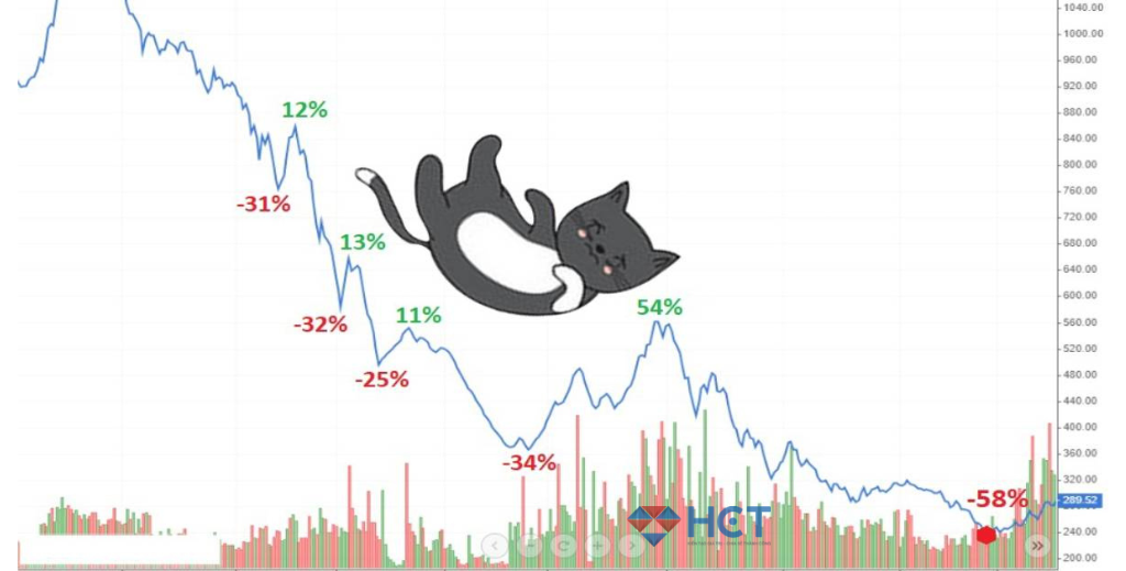 Cách nhận diện Dead Cat Bounce