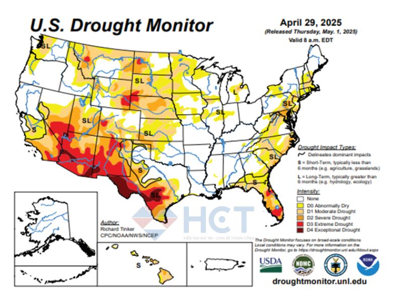 tin nông sản 08/05/2025 tin nông sản 08/05/2025