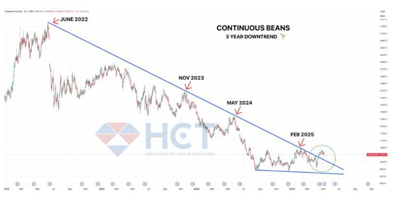 tin nông sản 08/05/2025