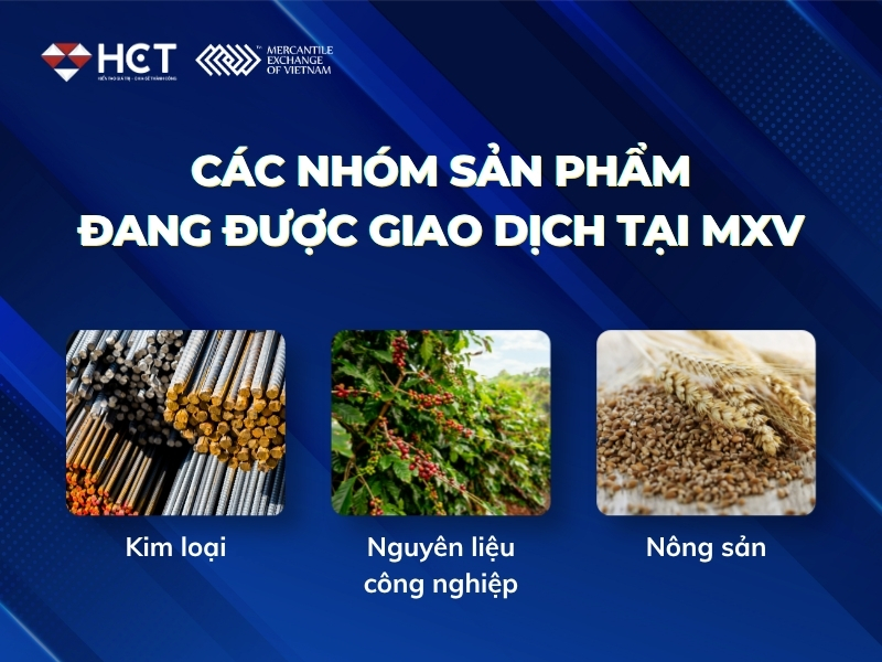 Các nhóm sản phẩm đang được giao dịch tại MXV